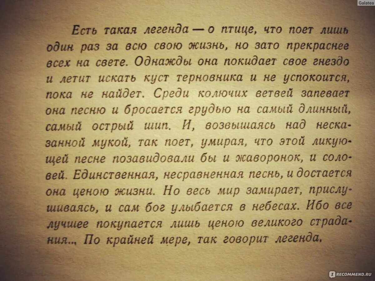 Стихи отрывки цитаты. Цитаты и высказывания из книг. Отрывки из жизни людей. Красивые цитаты из книг со смыслом. Омар си 1+1 кадры.