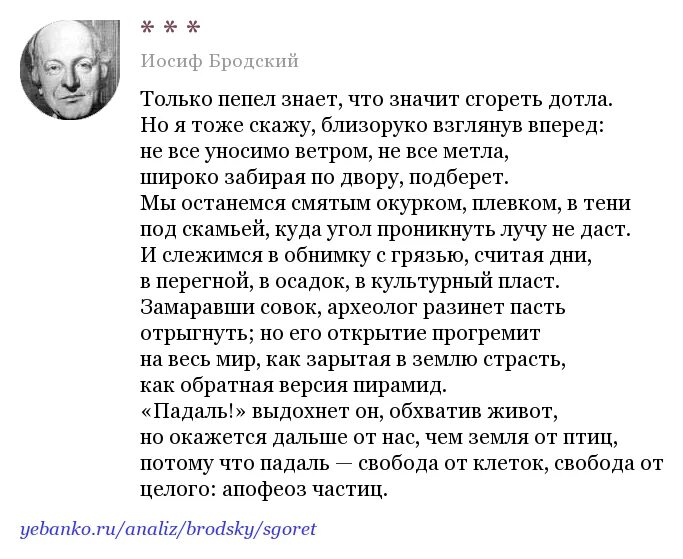 Бродский только пепел знает. Стихи Бродского. Иосиф Бродский стихи. Только пепел знает что значит сгореть дотла.