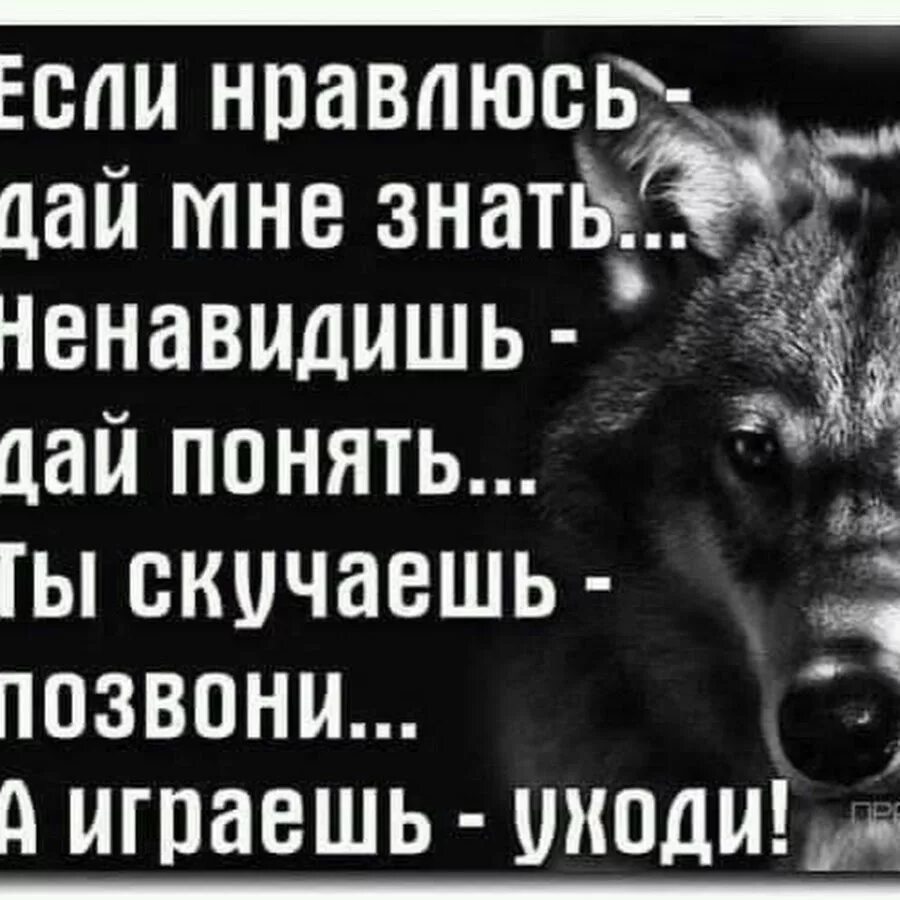 Если скучаешь дай знать. Если скучаешь позвони. Если любишь дай мне знать ненавидишь дай понять. Блатные цитаты.