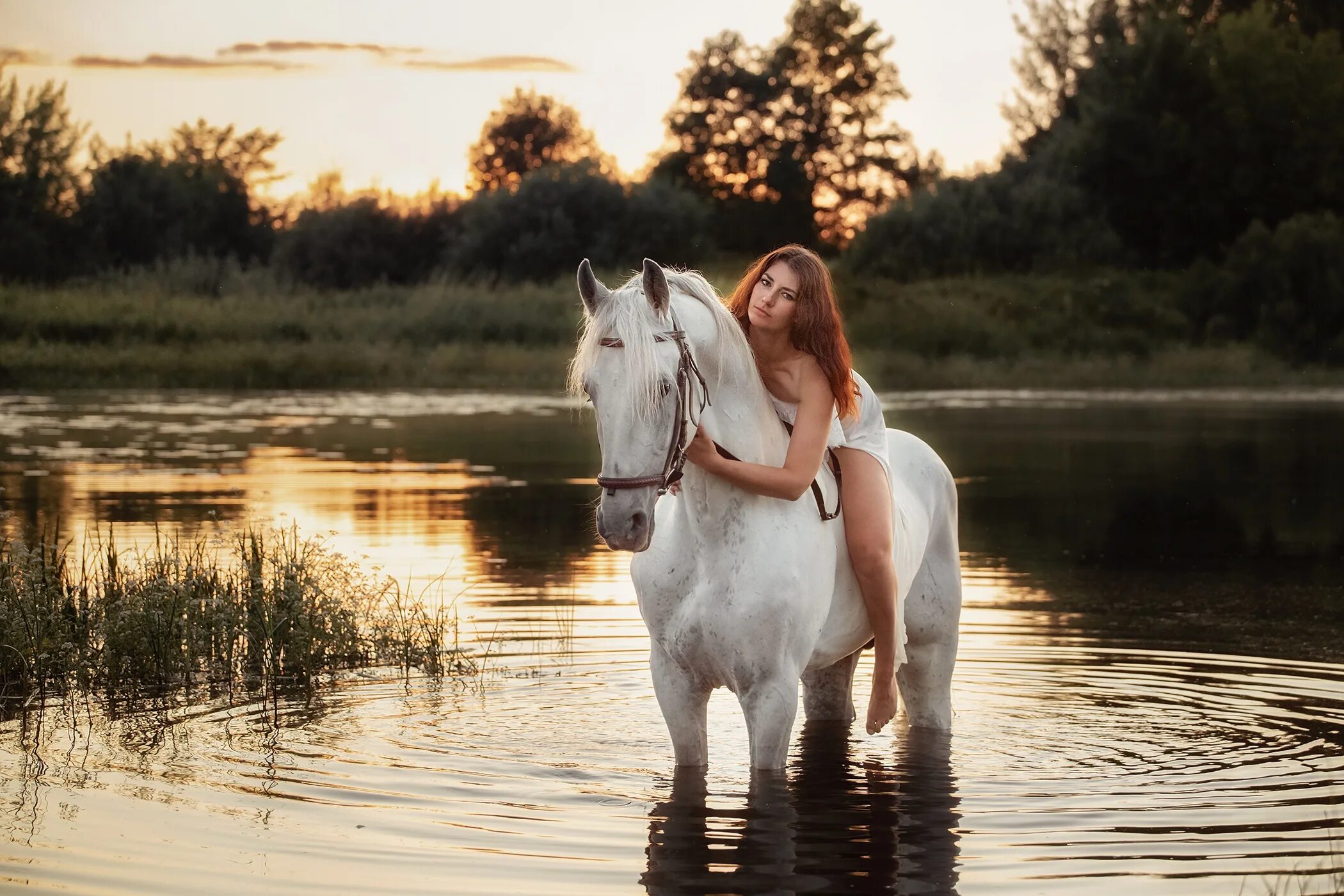 Света кон. Фотосессия с лошадьми. Фотосессия с лошадкой. Девушка у реки.