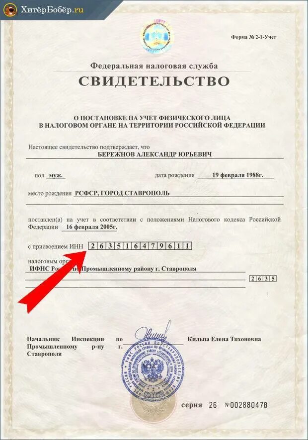 Как понимать документы. Идентификационный номер налогоплательщика. Номер ИНН. Идентификационный номер налигоплат. ИНН физического лица.
