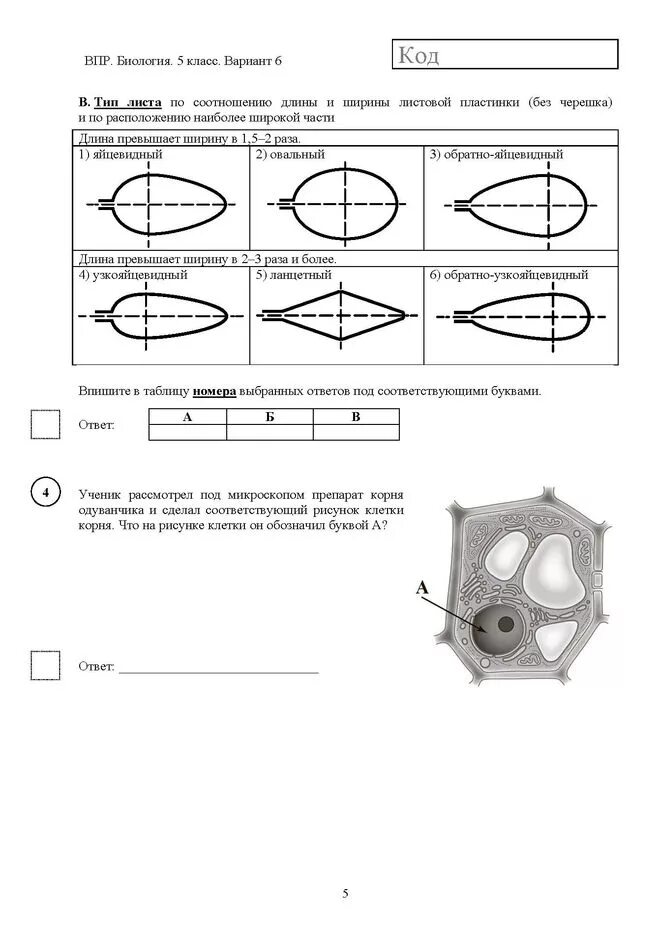 Впр по биологии 9 вариант. ВПР биология 5 класс вариант 1. ВПР 5 класс биология с ответами. ВПР биология 5 класс 2020 год. ВПР по биологии 5 класс с ответами 5 вариант.