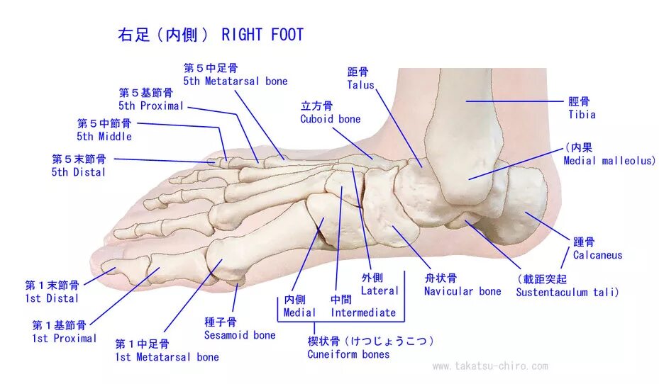 I said right foot текст