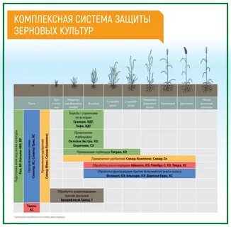 Интегрированная защита