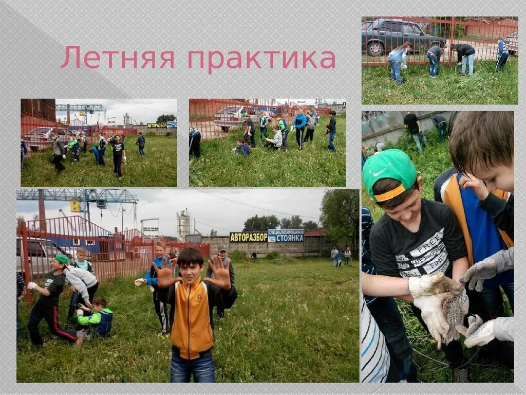 Летняя практика читать