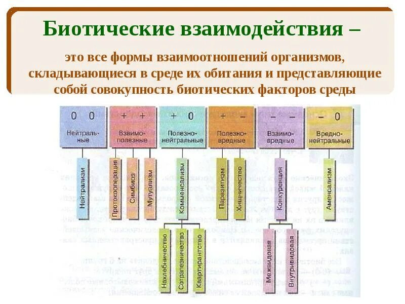 Типы взаимодействий разных видов. Тип биотических взаимоотношений организмов. типы биотических взаимодействий таблица с примерами. типы взаимоотношений организмов схема. типы биотических связей таблица.