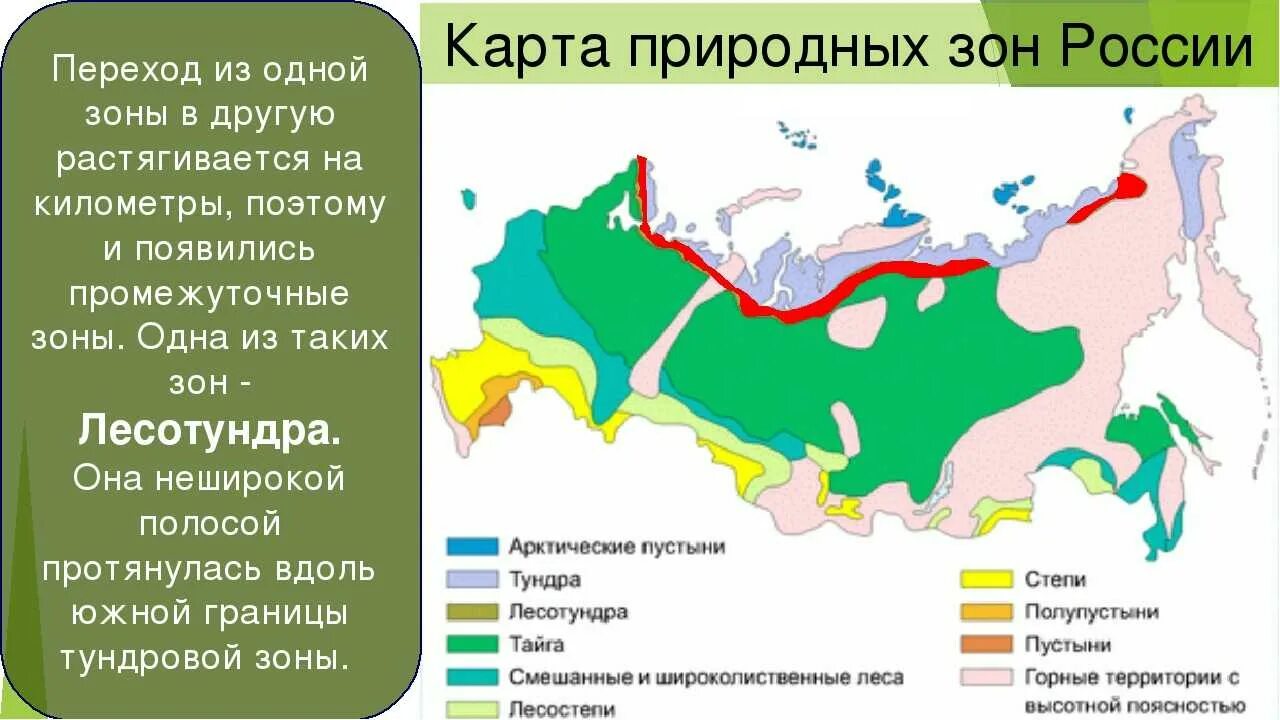 Эта природная зона занимает более половины территории. Карта природных зон России 8кл. Природные зоны России 4 класс окружающий мир природные зоны. Природные зоны России 4 класс окружающий мир 21 век карта. Карта природных зон карта природных зон России.