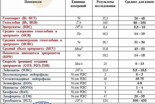 Гемоглобин 10 1. Гемоглобин единицы измерения. единицы измерения гемоглобина в крови. гемоглобин 9 это сколько. гемоглобин единицы измерения г/дл.
