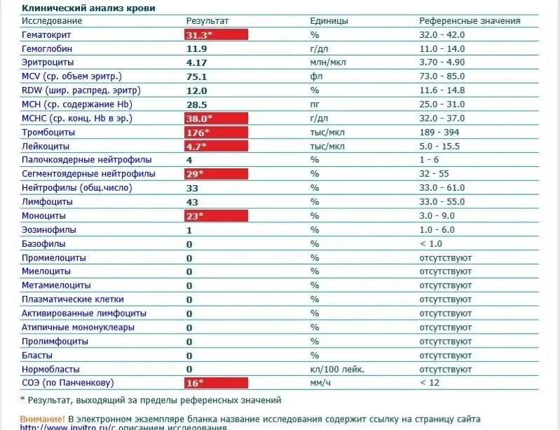 Анализ крови при орви. Моноциты при онкологии показатели. Моноциты 0,62++. Моноциты 12.4 норма. Моноциты 11.2.