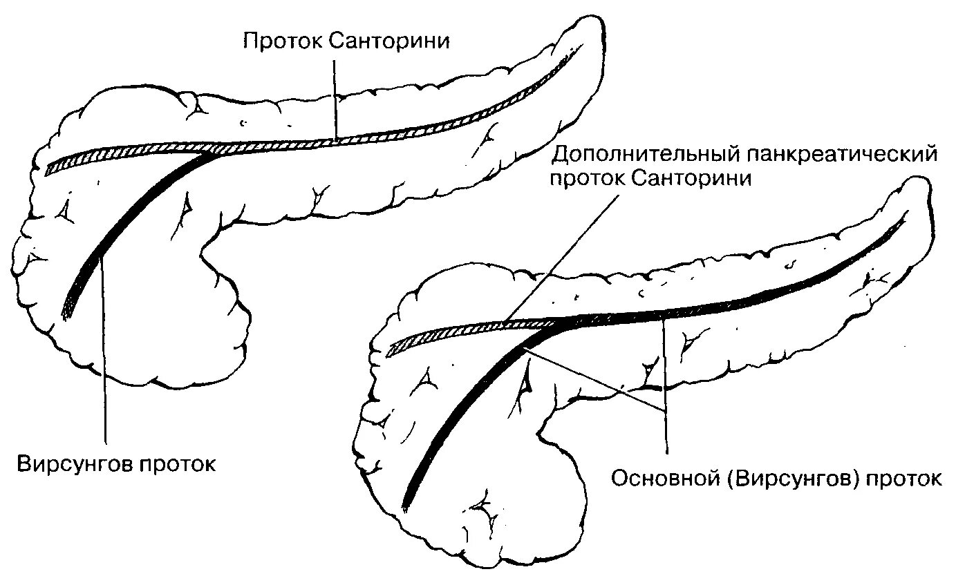 Вирсунгов проток это. Схема протоков поджелудочной железы. Строение протоков поджелудочной железы. Санториниев проток поджелудочной железы. Главный и добавочный проток поджелудочной железы.