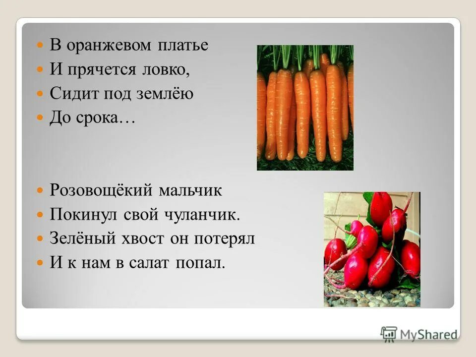 Десять мальчиков спрятались в чуланчики. Что растет на грядке на букву л. презентация что растет на грядке. десять мальчиков живут в зеленом чуланчике ответ на загадку. всякому мальчику по чуланчику ответ на загадку.