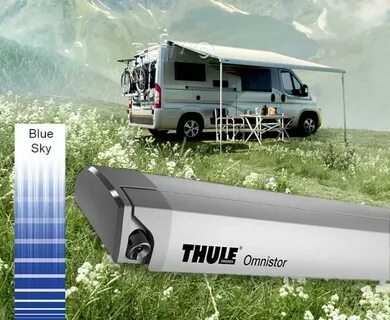 Маркиза thule