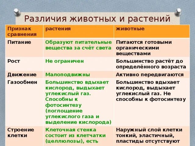 3 отличия животных от растений. Таблица сравнение животного и растительного организма. Отличия животных и растений. Сходство растений и животных. Сходства и различия животных и растений.