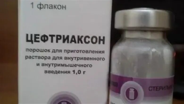Как развести цефтриаксон для внутримышечного введения. Цефтриаксон уколы внутримышечно. цефтриаксон астерия уколы. цефтриаксон дозы для внутривенного введения. цефтриаксон для внутримышечного введения взрослому.