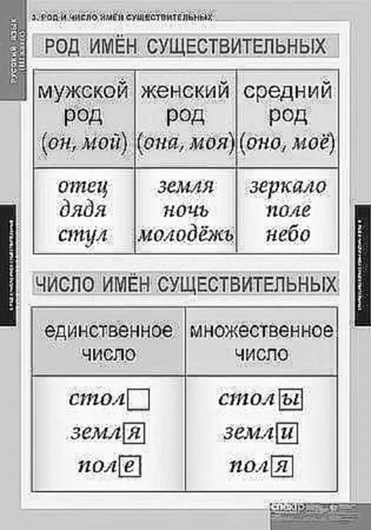 Род и число имен существительных. Род и число имен существительных таблица. Число имен существительных таблица. Таблица русского языка.