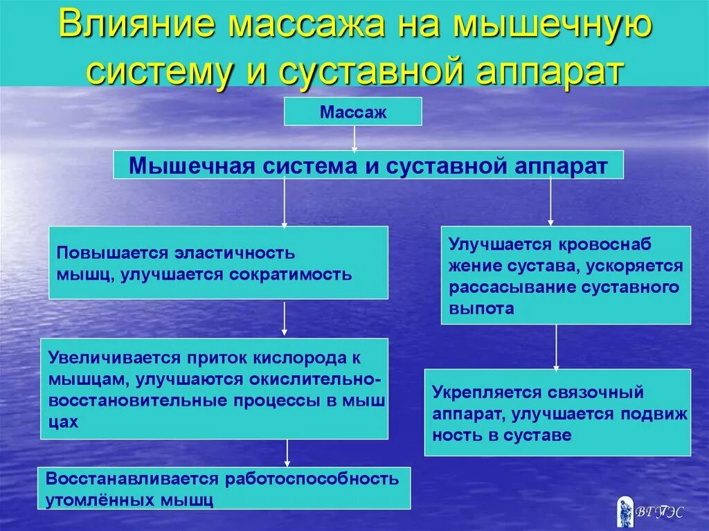 Массажные действия. Влияние массажа на мышечную систему и суставной аппарат. Влияние массажа на суставной аппарат. Физиологическое влияние массажа на мышечную систему. Влияние массажа на связочный аппарат.