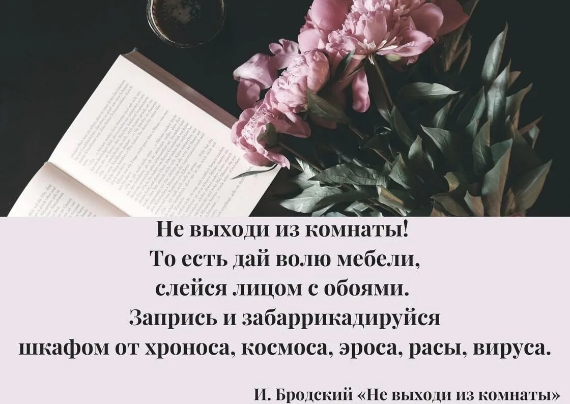 Если бы я не любил поэзию бродского. Бродский цитаты. Цитаты Бродского о жизни. Бродский цитаты из стихов. Иосиф Бродский высказывания о жизни.