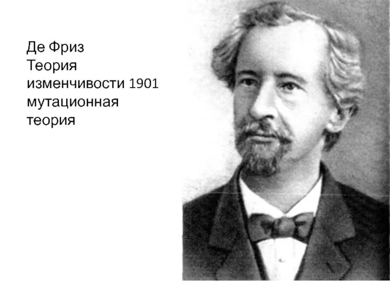 Х де фриз. Гуго де фриз. Ученый г де фриз. Хуго де фриз нидерландский ботаник. Гуго де фриз 1901.