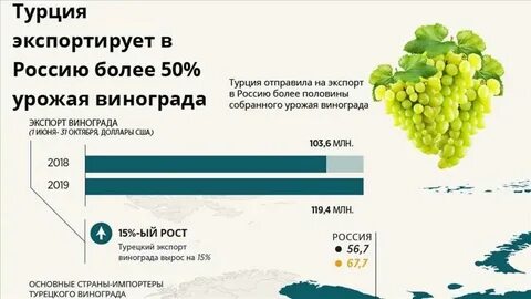 Ситуация на рынке винограда