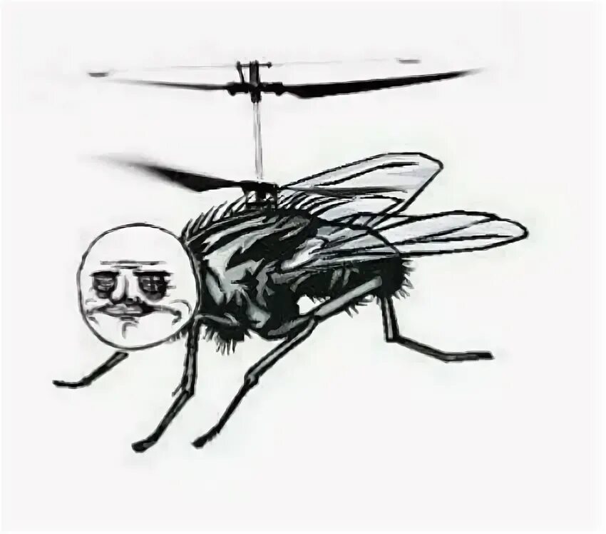 Технология вертолётная площадка. Муха тоже вертолет саблезубый тигр. Мемы про мух. Муха тоже вертолет саблезубый тигр. А муха тоже вертолет.