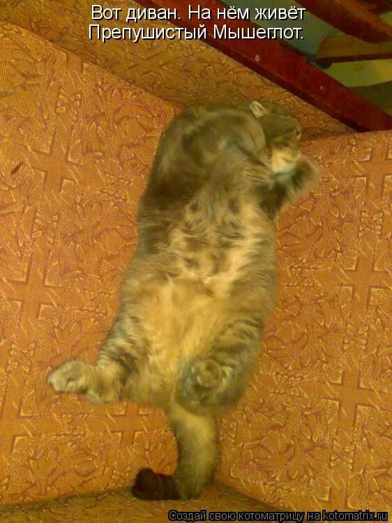 планета шелезяка тайна третьей планеты. сил нам и терпения прикольные. держаться нету сил. отличается умом и сообразительностью. держаться нету больше сил картинка.