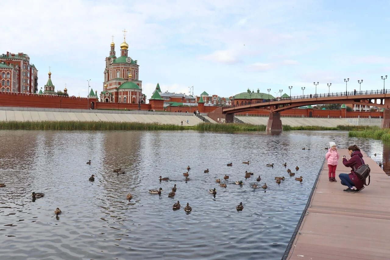 Курс на сегодня йошкар ола. Йошкар-Ола климат. Йошкар-Ола ветер. Утка в Йошкар-Оле. Птицы Йошкар Олы.