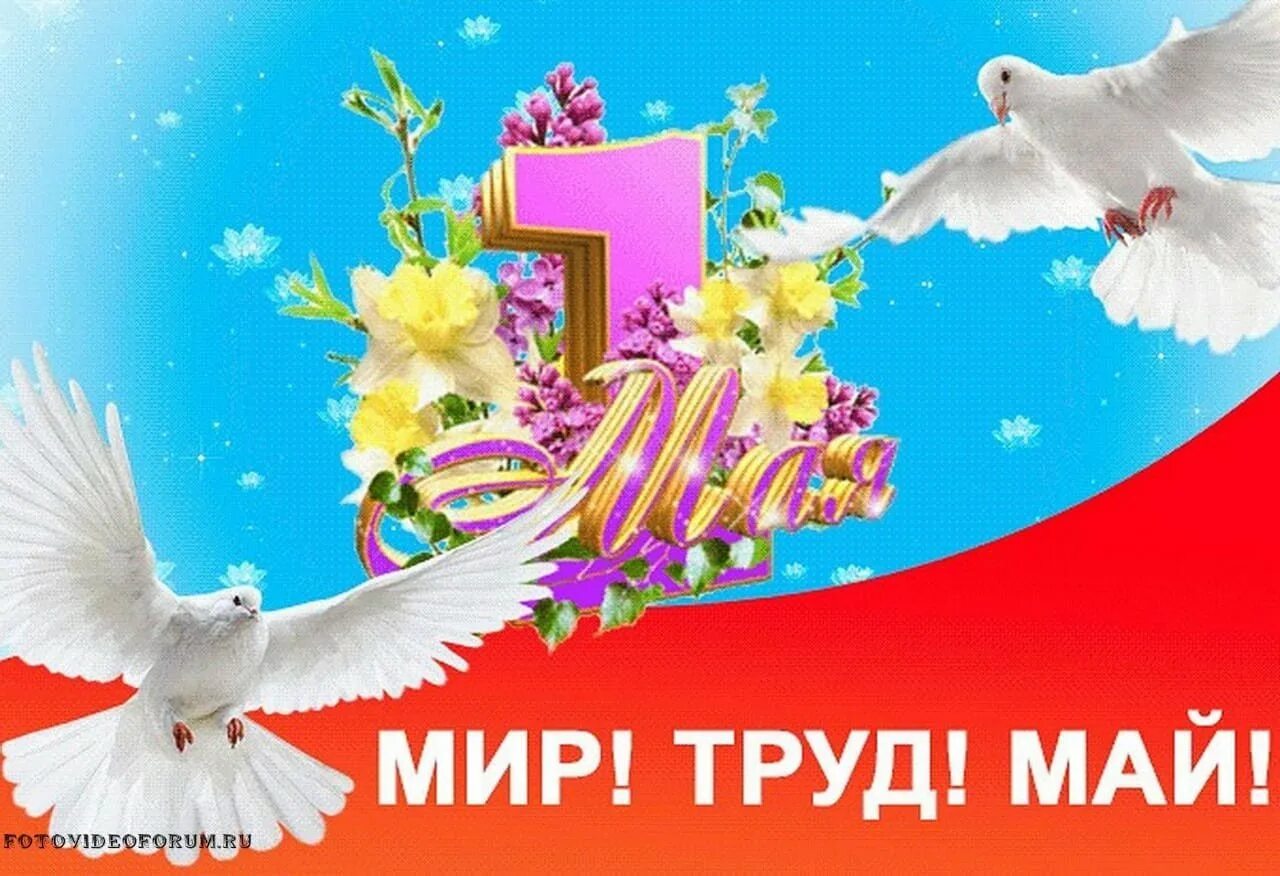 Почему 1 мая праздник. 1 мая. открытки с 1 мая. мир труд май. мир труд май открытки.