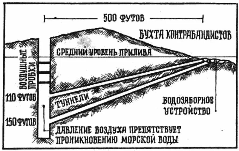 Где находится остров оук The UnMuseum Oak Island Mystery Oak island mystery, Oak island, Oak island map