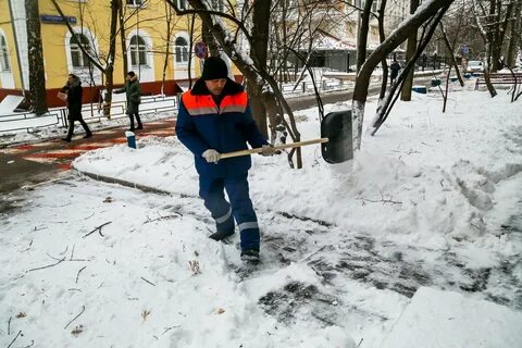 Москва уборка дворов