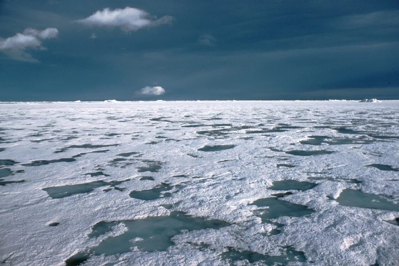 Как меняется природа арктических морей. Море Бофорта. Остров Хершел море Бофорта. Замерзшее море. Арктические моря.