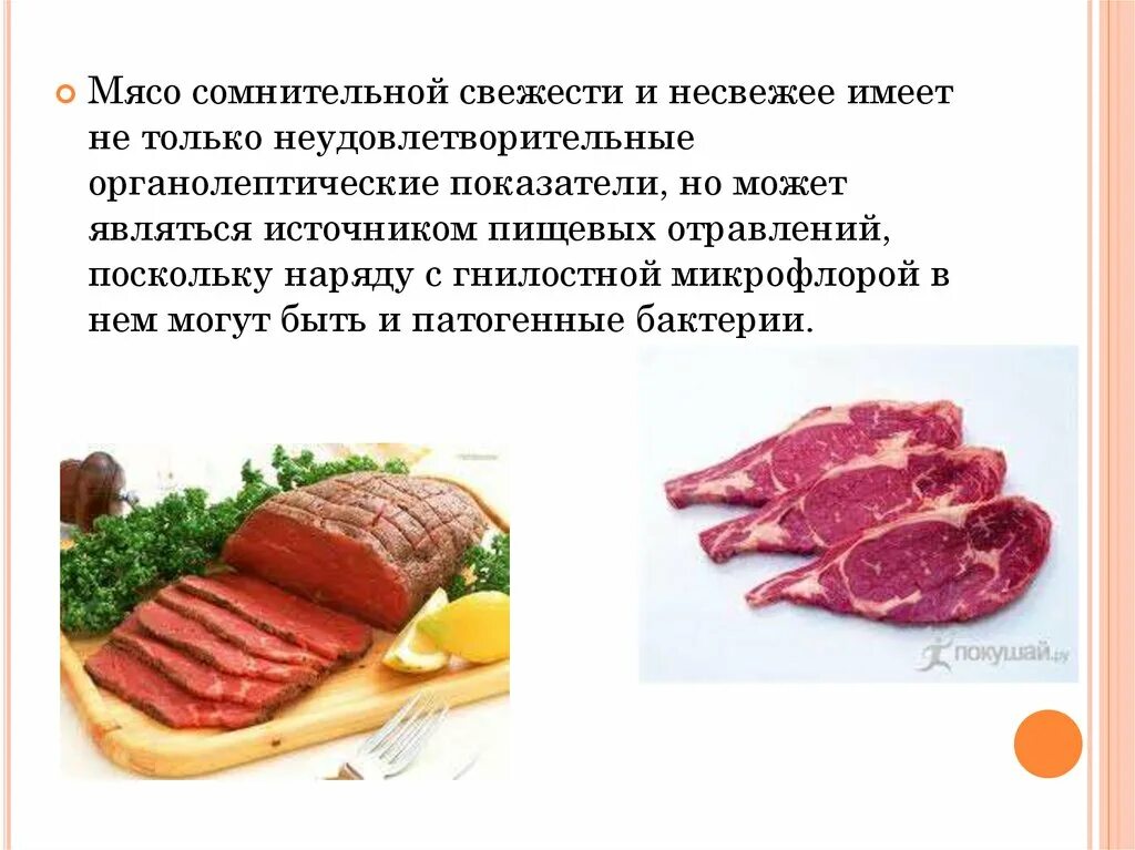 Органолептическая оценка качества мяса