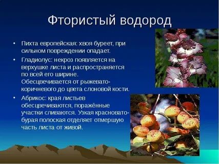 Водород растений