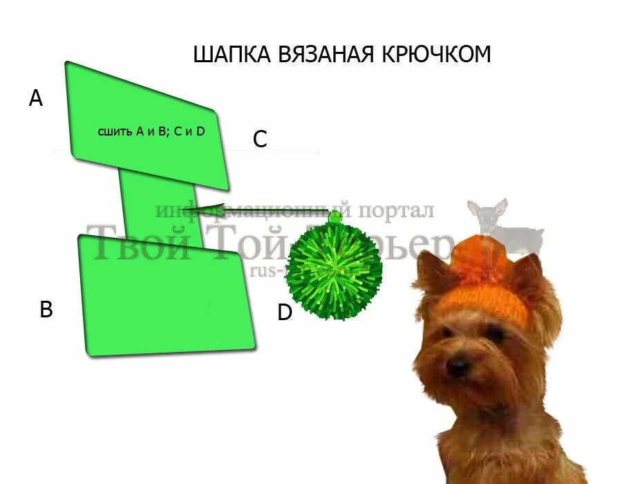 Шапочка для собаки схема вязания. Выкройка вязаной шапочки для собак мелких пород. шапочка для собаки схема. схема вязания шапки для собаки. выкройка шапочки для собаки.