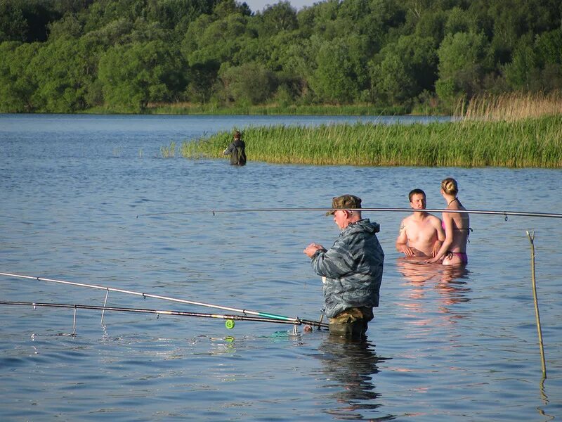 Старобешевское водохранилище. Конаково рыбалка. Иваньковское водохранилище. Рыбалка на пруду с берега.