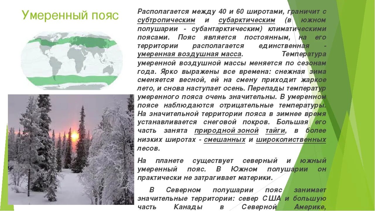 Природная зона тайга климатический пояс. Умеренный пояс. Умеренного климатического пояса. Умеренный климатический пояс презентация. Климат умеренных поясов.