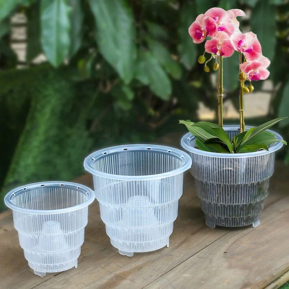 Sandra Rich Blumentöpfe und Orchideentöpfe, Seite 2