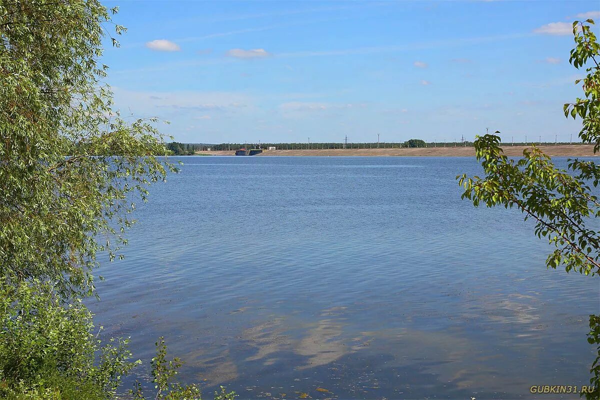 Водохранилище старый Оскол. Оскольское водохранилище старый Оскол. Плотина Оскольского водохранилища. Краснооскольское водохранилище дамба. Водохранилище оскол