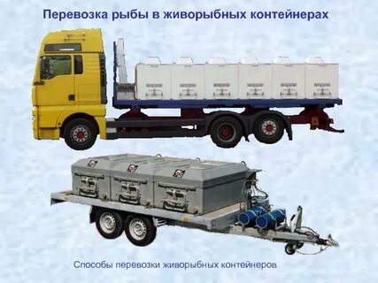 Транспортировка рыбы