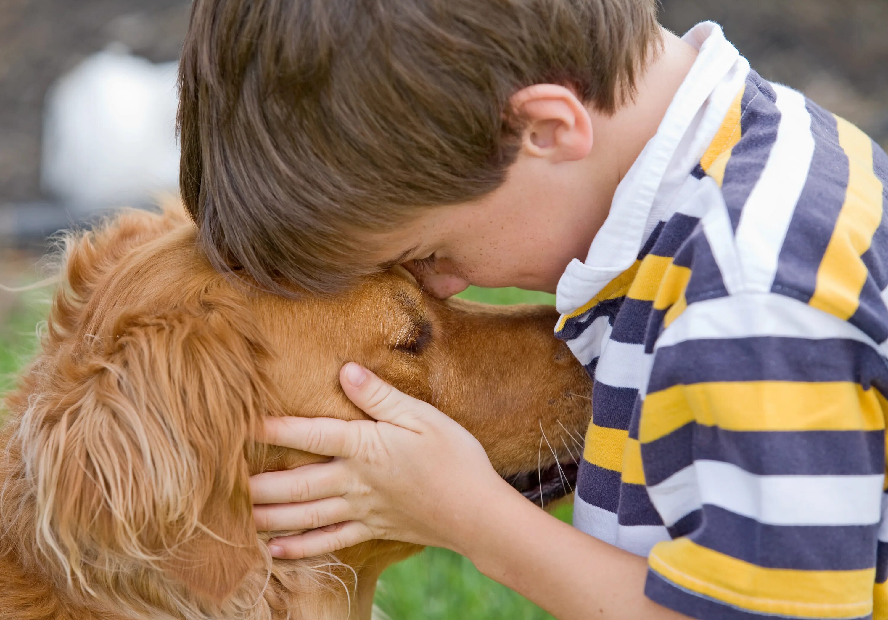 Together pet. Забота о животных. Любовь к животным. Люди и животные. Животные друзья человека.