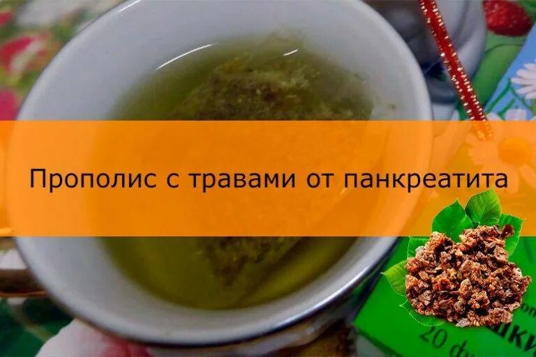 Прополис растение