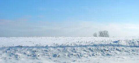 Ледяная степь