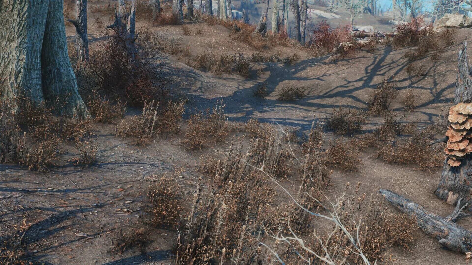 Fallout 4 мод на улучшение. Fallout 4 texture pack. fallout 4 spiffyskytrooper. fallout ландшафт. текстуры fallout 4.