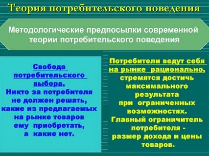 Основы теории потребительского поведения