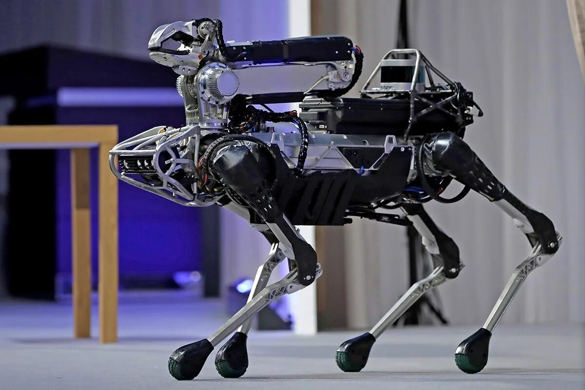 Собака робот с интеллектом. Робот собака wowwee chip. Собака sony aibo. Робот пес дайнемикс. Собака робот с интеллектом.