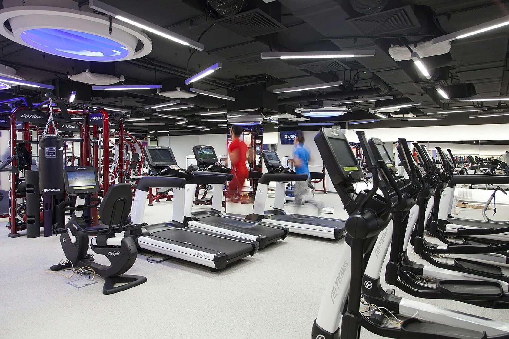 Антарес фит. X fit антарес екатеринбург. антарес х фит премиум. антарес фитнес екатеринбург. антарес фитнес клуб.