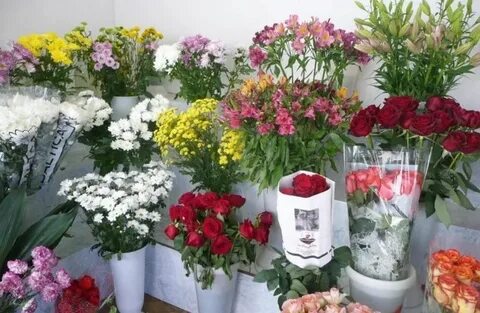 В каких цветах продаю
