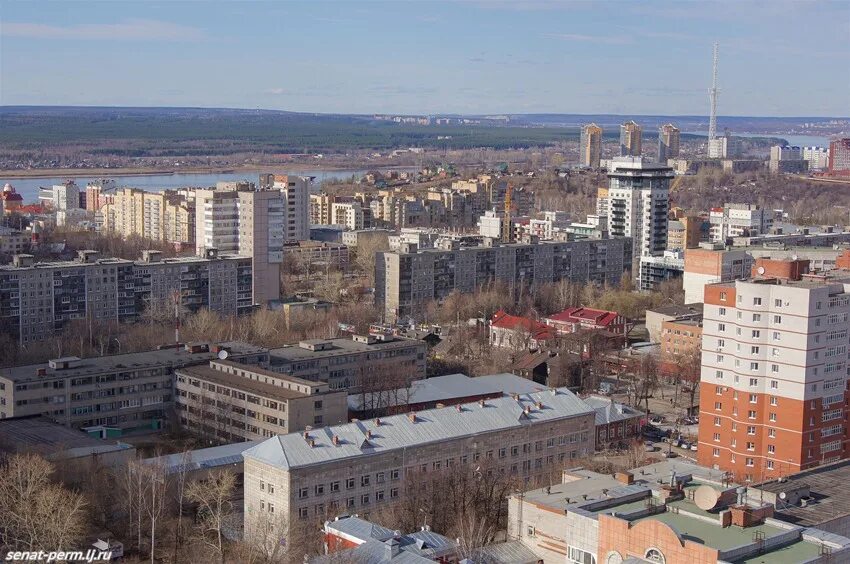 На общественных слушаниях в Перми обсудили строительство зоопарка - Рамблер/ново