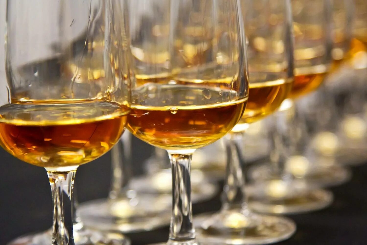 Дегустация виски. Дегустация виски. Виски сток. Whisky tasting. Шотландский центр наследия виски.