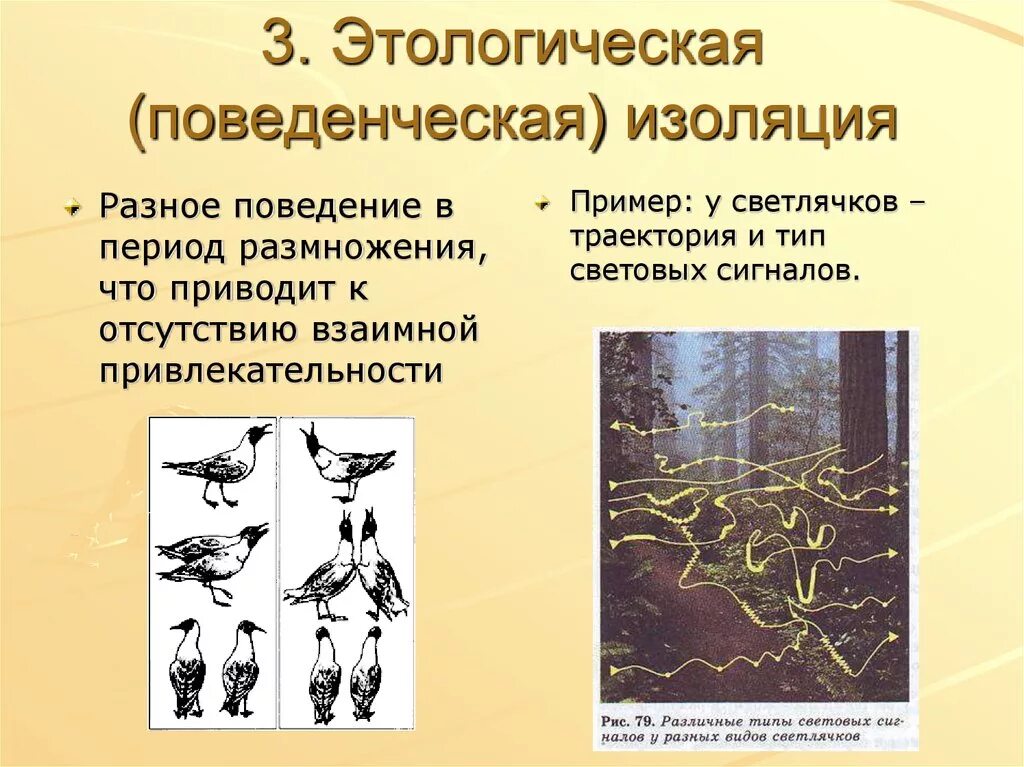 Примеры изоляции в биологии. Поведенческая изоляция. Этологическая изоляция примеры. Примеры поведенческой изоляции в биологии. Этологическая (поведенческая) изоляция.