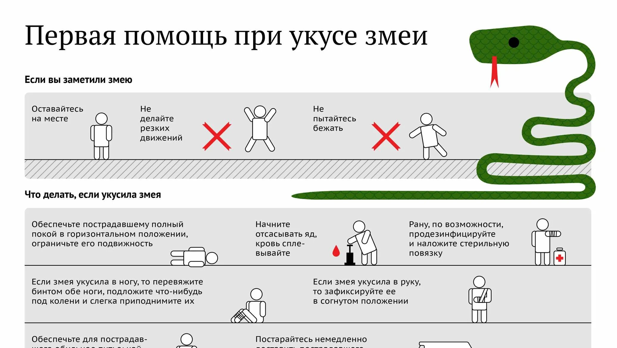 Кажется меня укусила змея о боже. Оказание первой помощи при укусах ядовитых змей. Оказание первой медицинской помощи при укусе змеи. При оказании неотложной помощи при укусе змеи необходимо. Оказание 1 медицинской помощи при укусе змеи.